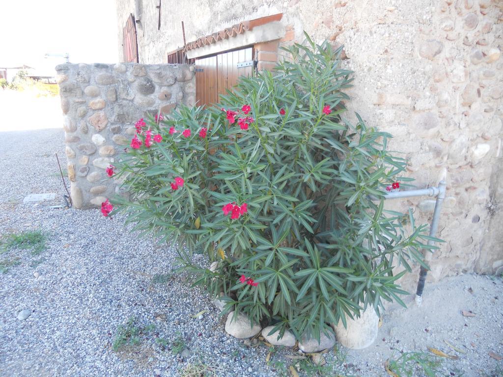 Agriturismo Le Mura Del Gherlo Villa Valeggio sul Mincio Buitenkant foto